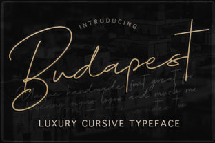 Budapest Family: A Luxurious Script Handwritten Typeface