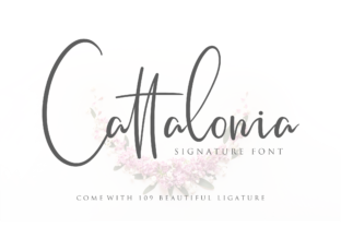 Cattalonia Script Font for Web Design