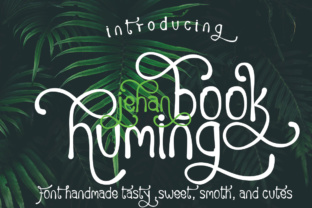 Huming Book: A Playful Script Handwritten Font for Web Design