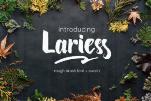 Lariess Font: Elevate Your Digital Branding