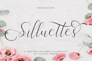 Silluettes: A Romantic Script Handwritten Font for Modern Campaigns