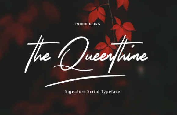 The Queenthine Typeface for Elegant Branding