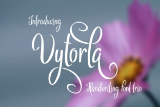 Vytorla: A Handwritten Typeface for Modern Web Design